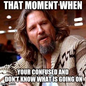 Confused Lebowski Meme | THAT MOMENT WHEN; YOUR CONFUSED AND DON'T KNOW WHAT IS GOING ON | image tagged in memes,confused lebowski | made w/ Imgflip meme maker