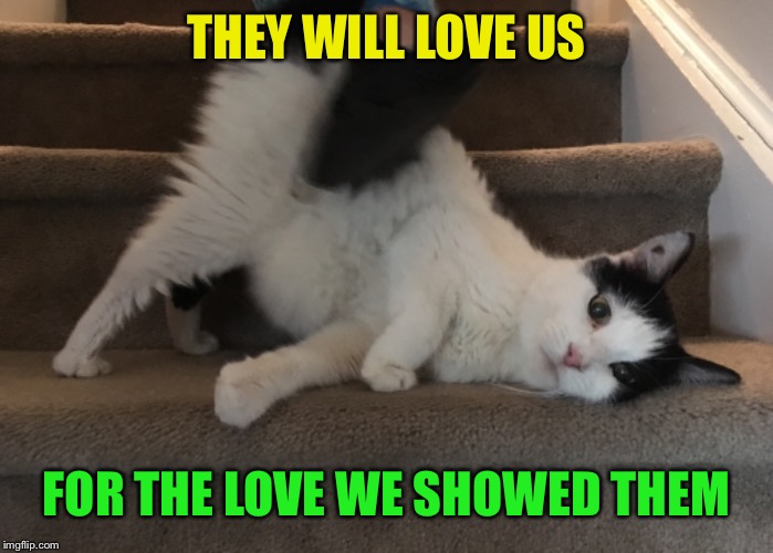 THEY WILL LOVE US FOR THE LOVE WE SHOWED THEM | made w/ Imgflip meme maker
