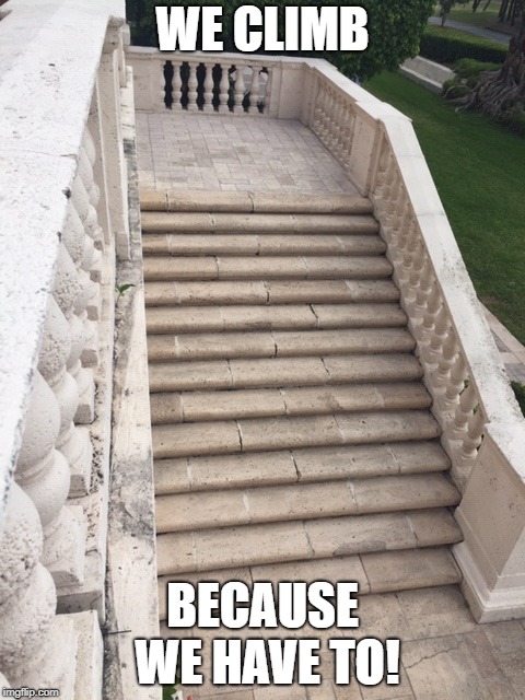 WE CLIMB; BECAUSE WE HAVE TO! image tagged in stairs made w/ Imgflip meme m...