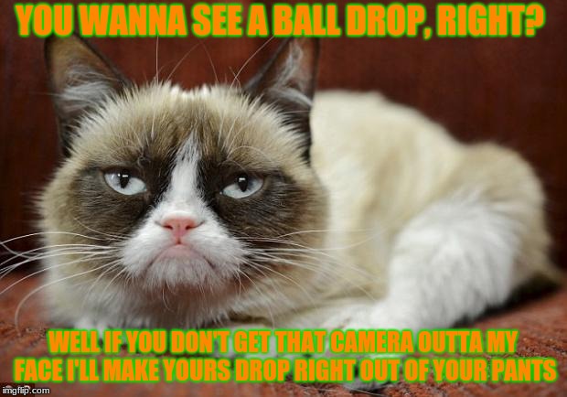 Happy New Year IMGflip!!! I Made This Meme 2 Years Ago And Now I Tweaked It And I'm Bringing It Back!  | YOU WANNA SEE A BALL DROP, RIGHT? WELL IF YOU DON'T GET THAT CAMERA OUTTA MY FACE I'LL MAKE YOURS DROP RIGHT OUT OF YOUR PANTS | image tagged in grumpy cat new year,happy new year | made w/ Imgflip meme maker