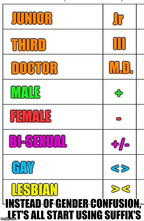 IT Would Make Things Easier | JUNIOR; Jr; THIRD; III; M.D. DOCTOR; MALE; +; FEMALE; -; BI-SEXUAL; +/-; < >; GAY; LESBIAN; > <; INSTEAD OF GENDER CONFUSION, LET'S ALL START USING SUFFIX'S | image tagged in gender confusion | made w/ Imgflip meme maker