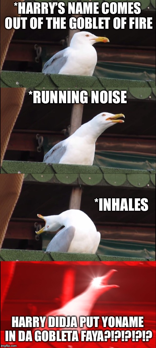 Inhaling Seagull Meme | *HARRY’S NAME COMES OUT OF THE GOBLET OF FIRE; *RUNNING NOISE; *INHALES; HARRY DIDJA PUT YONAME IN DA GOBLETA FAYA?!?!?!?!? | image tagged in memes,inhaling seagull | made w/ Imgflip meme maker
