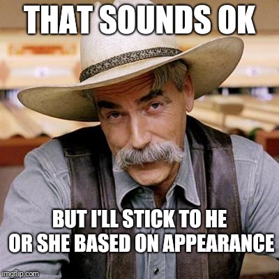SARCASM COWBOY | THAT SOUNDS OK BUT I'LL STICK TO HE OR SHE BASED ON APPEARANCE | image tagged in sarcasm cowboy | made w/ Imgflip meme maker