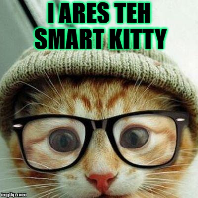 SMART KITTY | SMART KITTY; I ARES TEH | image tagged in smart kitty | made w/ Imgflip meme maker