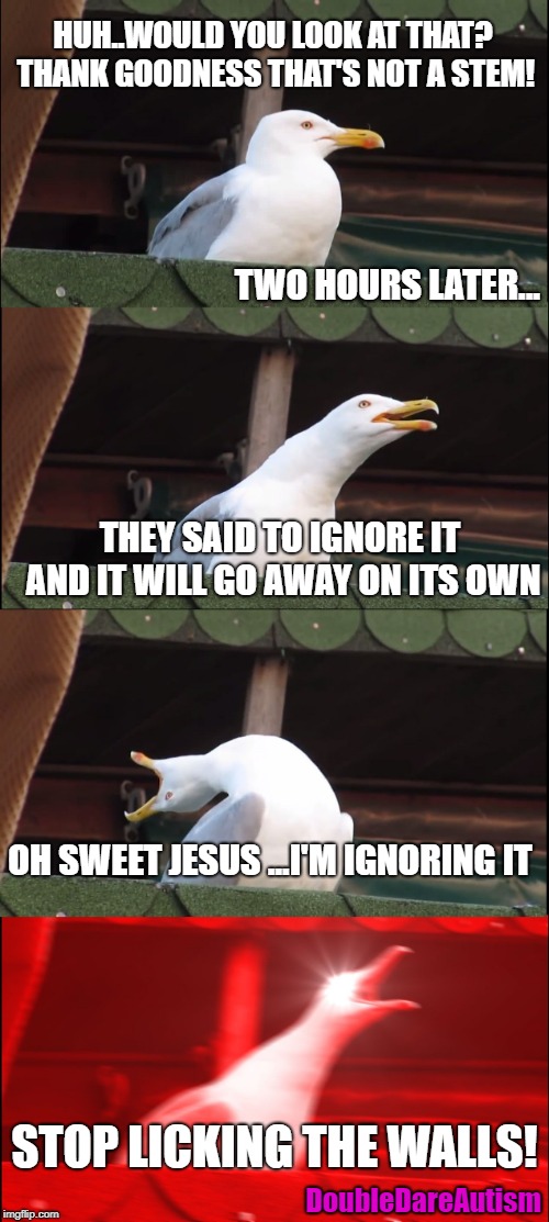Inhaling Seagull Meme | HUH..WOULD YOU LOOK AT THAT? THANK GOODNESS THAT'S NOT A STEM! TWO HOURS LATER... THEY SAID TO IGNORE IT AND IT WILL GO AWAY ON ITS OWN; OH SWEET JESUS ...I'M IGNORING IT; STOP LICKING THE WALLS! DoubleDareAutism | image tagged in memes,inhaling seagull | made w/ Imgflip meme maker