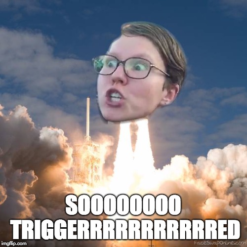 SOOOOOOOO TRIGGERRRRRRRRRRRED | image tagged in triggered flounce blast off | made w/ Imgflip meme maker