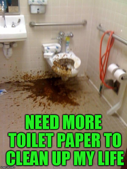 Lots of crap in my life | NEED MORE TOILET PAPER TO CLEAN UP MY LIFE | image tagged in girls poop too | made w/ Imgflip meme maker