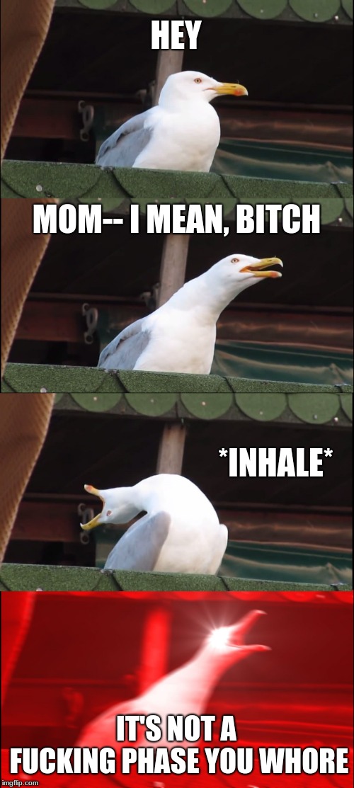 Inhaling Seagull Meme | HEY; MOM-- I MEAN, BITCH; *INHALE*; IT'S NOT A FUCKING PHASE YOU WHORE | image tagged in memes,inhaling seagull | made w/ Imgflip meme maker