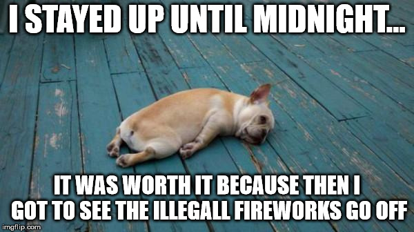 totally worth it | I STAYED UP UNTIL MIDNIGHT... IT WAS WORTH IT BECAUSE THEN I GOT TO SEE THE ILLEGALL FIREWORKS GO OFF | image tagged in tired dog | made w/ Imgflip meme maker