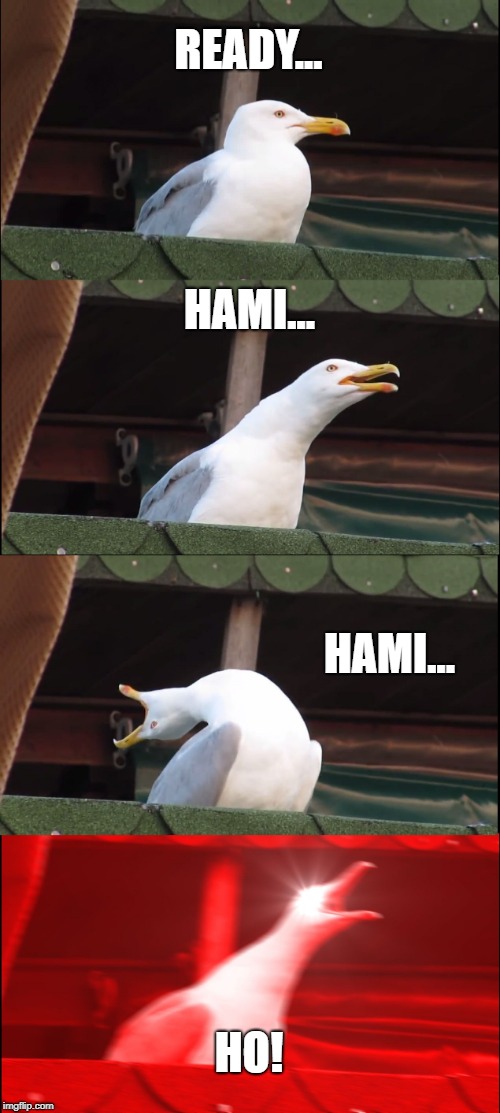 Inhaling Seagull Meme | READY... HAMI... HAMI... HO! | image tagged in memes,inhaling seagull | made w/ Imgflip meme maker