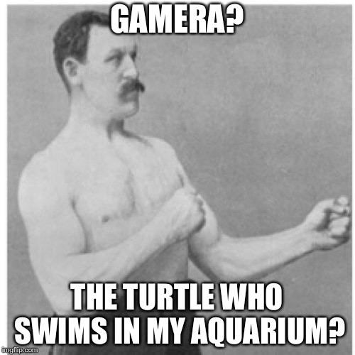That little turtle? | GAMERA? THE TURTLE WHO SWIMS IN MY AQUARIUM? | image tagged in memes,overly manly man | made w/ Imgflip meme maker