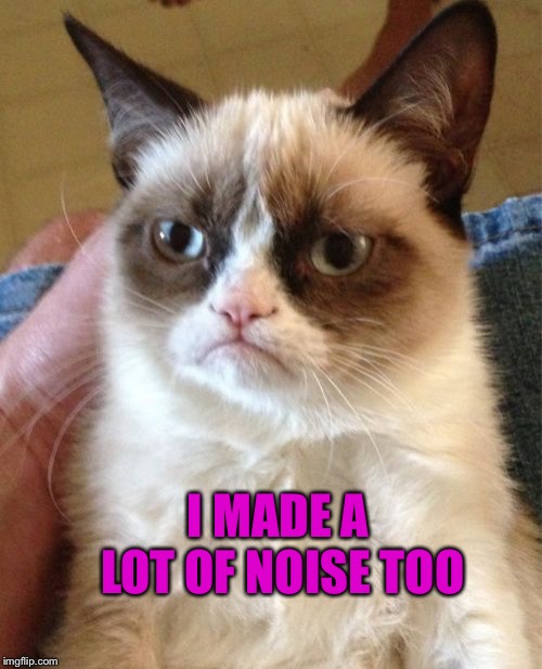 Grumpy Cat Meme | I MADE A LOT OF NOISE TOO | image tagged in memes,grumpy cat | made w/ Imgflip meme maker