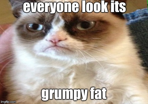 grumpy fat | everyone look its; grumpy fat | image tagged in memes | made w/ Imgflip meme maker