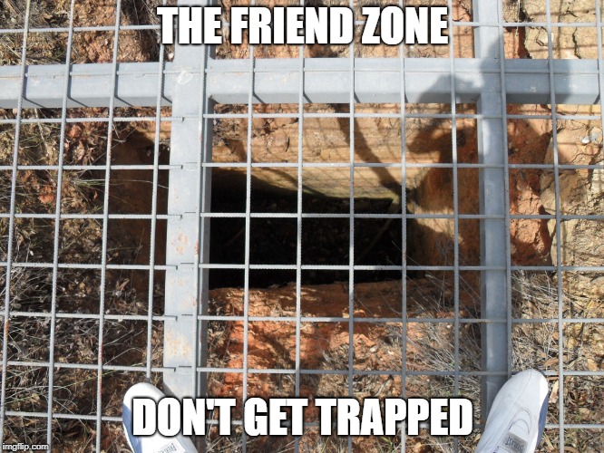 THE FRIEND ZONE; DON'T GET TRAPPED | image tagged in locked up | made w/ Imgflip meme maker