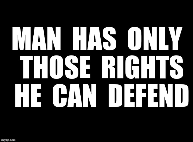 Defend your rights |  MAN  HAS  ONLY  THOSE  RIGHTS  HE  CAN  DEFEND | image tagged in 2nd amendment,defender | made w/ Imgflip meme maker