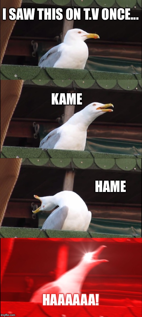 Inhaling Seagull | I SAW THIS ON T.V ONCE... KAME; HAME; HAAAAAA! | image tagged in memes,inhaling seagull | made w/ Imgflip meme maker