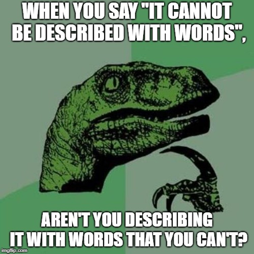 Describing What Cannot be Described | WHEN YOU SAY "IT CANNOT BE DESCRIBED WITH WORDS", AREN'T YOU DESCRIBING IT WITH WORDS THAT YOU CAN'T? | image tagged in raptor | made w/ Imgflip meme maker
