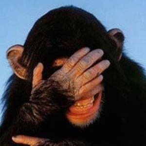 Embarrassed Chimp Blank Meme Template