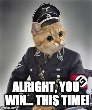 Grammar Nazi Cat | ALRIGHT, YOU WIN... THIS TIME! | image tagged in grammar nazi cat | made w/ Imgflip meme maker