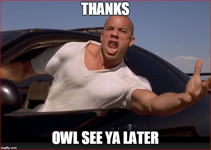 Vin | THANKS OWL SEE YA LATER | image tagged in vin | made w/ Imgflip meme maker