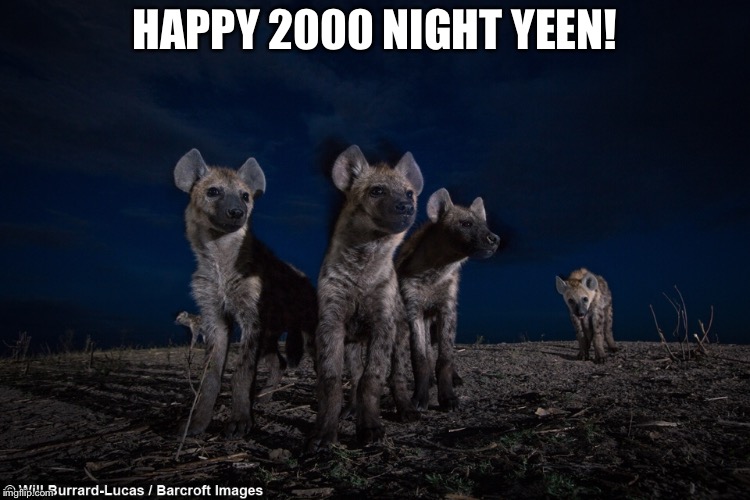 The year of the yeen! | HAPPY 2000 NIGHT YEEN! | image tagged in furry,furries,hyena,bad pun hyena | made w/ Imgflip meme maker