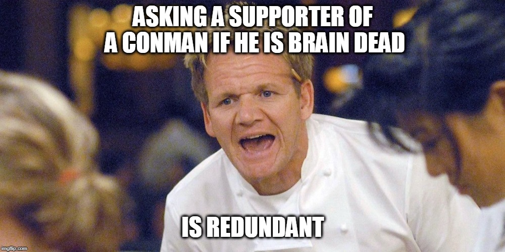 Gordon | ASKING A SUPPORTER OF A CONMAN IF HE IS BRAIN DEAD IS REDUNDANT | image tagged in gordon | made w/ Imgflip meme maker
