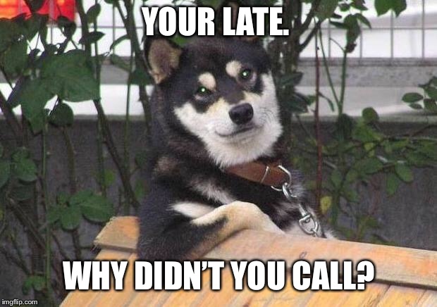 Cool dog | YOUR LATE. WHY DIDN’T YOU CALL? | image tagged in cool dog | made w/ Imgflip meme maker