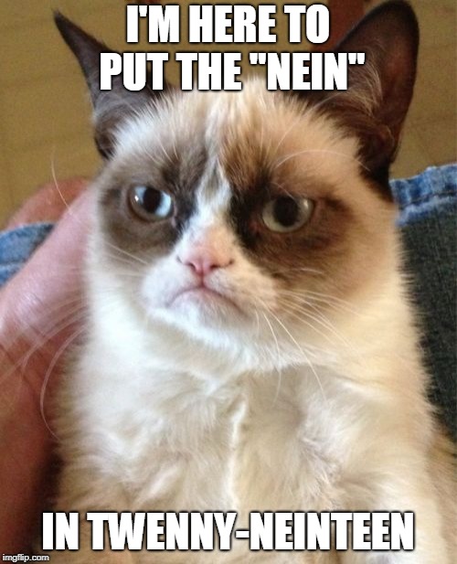 Grumpy Cat Meme | I'M HERE TO PUT THE "NEIN" IN TWENNY-NEINTEEN | image tagged in memes,grumpy cat | made w/ Imgflip meme maker