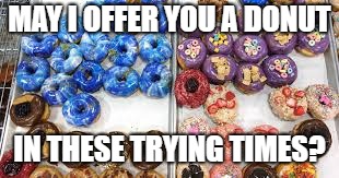MAY I OFFER YOU A DONUT; IN THESE TRYING TIMES? | image tagged in donut,magfest | made w/ Imgflip meme maker
