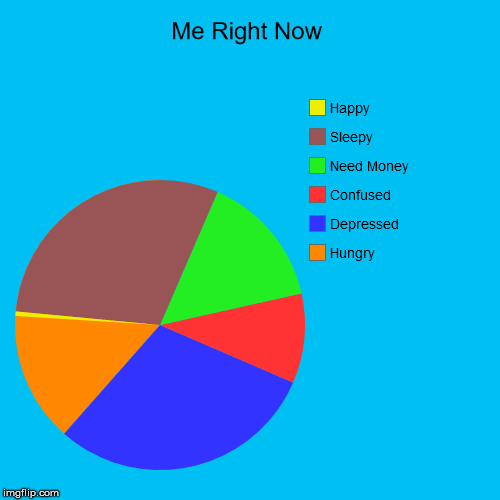Me Right Now | Hungry, Depressed, Confused, Need Money, Sleepy, Happy | image tagged in funny,pie charts | made w/ Imgflip chart maker
