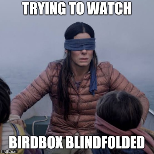 Birdbox in a nutshell | TRYING TO WATCH; BIRDBOX BLINDFOLDED | image tagged in birdbox | made w/ Imgflip meme maker