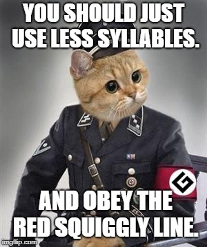 Grammar Nazi Cat | YOU SHOULD JUST USE LESS SYLLABLES. AND OBEY THE RED SQUIGGLY LINE. | image tagged in grammar nazi cat | made w/ Imgflip meme maker