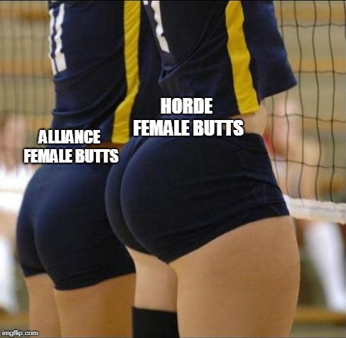 Vollyball meme | HORDE FEMALE BUTTS; ALLIANCE FEMALE BUTTS | image tagged in vollyball meme | made w/ Imgflip meme maker