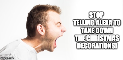 Enough already!! | STOP TELLING ALEXA TO TAKE DOWN THE CHRISTMAS DECORATIONS! | image tagged in alexa | made w/ Imgflip meme maker