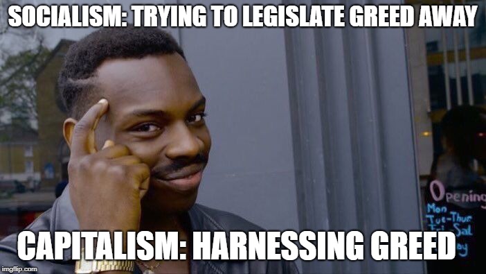 Roll Safe Think About It Meme | SOCIALISM: TRYING TO LEGISLATE GREED AWAY CAPITALISM: HARNESSING GREED | image tagged in memes,roll safe think about it | made w/ Imgflip meme maker