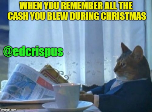 I Should Buy A Boat Cat Meme | WHEN YOU REMEMBER ALL THE CASH YOU BLEW DURING CHRISTMAS; @edcrispus | image tagged in memes,i should buy a boat cat | made w/ Imgflip meme maker