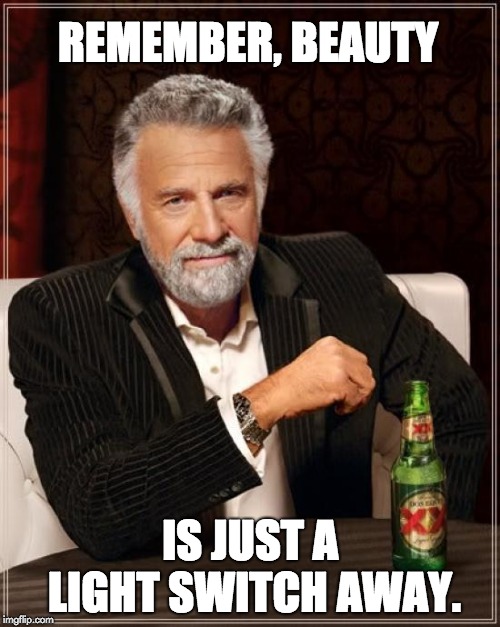 The Most Interesting Man In The World | REMEMBER, BEAUTY; IS JUST A LIGHT SWITCH AWAY. | image tagged in memes,the most interesting man in the world | made w/ Imgflip meme maker