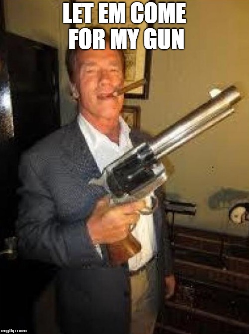 Arnold gun control | LET EM COME FOR MY GUN | image tagged in arnold gun control | made w/ Imgflip meme maker