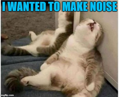 I WANTED TO MAKE NOISE | made w/ Imgflip meme maker