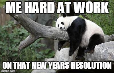 HAPPY NEW YEARS! | ME HARD AT WORK; ON THAT NEW YEARS RESOLUTION | image tagged in lazy panda,memes,happy new years,new years resolutions,new years,2019 | made w/ Imgflip meme maker