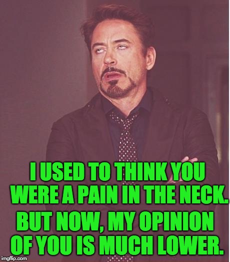 Face You Make Robert Downey Jr | I USED TO THINK YOU WERE A PAIN IN THE NECK. BUT NOW, MY OPINION OF YOU IS MUCH LOWER. | image tagged in memes,face you make robert downey jr | made w/ Imgflip meme maker