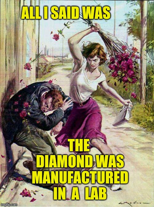 Beaten with Roses | ALL I SAID WAS; THE DIAMOND WAS MANUFACTURED IN  A  LAB | image tagged in beaten with roses,diamond,engagement,relationship | made w/ Imgflip meme maker