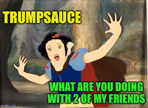 snow white  | TRUMPSAUCE WHAT ARE YOU DOING WITH 2 OF MY FRIENDS | image tagged in snow white | made w/ Imgflip meme maker
