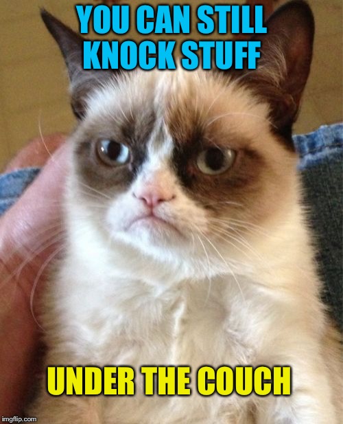 Grumpy Cat Meme | YOU CAN STILL KNOCK STUFF UNDER THE COUCH | image tagged in memes,grumpy cat | made w/ Imgflip meme maker