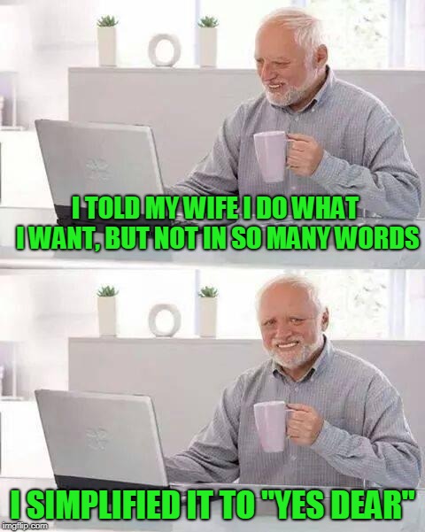 At least  I mumbled it so she had to ask a second time | I TOLD MY WIFE I DO WHAT I WANT, BUT NOT IN SO MANY WORDS; I SIMPLIFIED IT TO "YES DEAR" | image tagged in memes,hide the pain harold | made w/ Imgflip meme maker