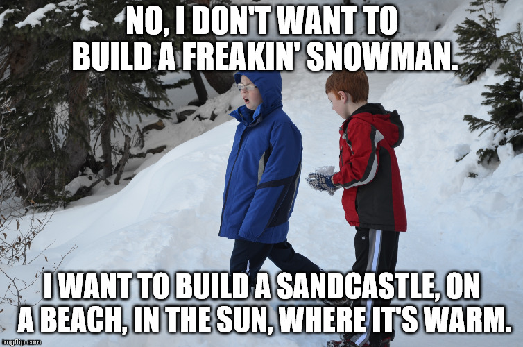 What I really really want. | NO, I DON'T WANT TO BUILD A FREAKIN' SNOWMAN. I WANT TO BUILD A SANDCASTLE, ON A BEACH, IN THE SUN, WHERE IT'S WARM. | image tagged in kids in snow | made w/ Imgflip meme maker