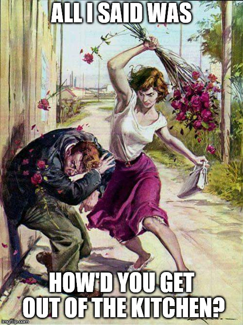 Beaten with Roses | ALL I SAID WAS; HOW'D YOU GET OUT OF THE KITCHEN? | image tagged in beaten with roses | made w/ Imgflip meme maker