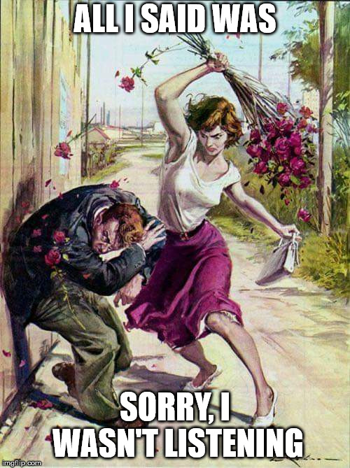 Beaten with Roses | ALL I SAID WAS; SORRY, I WASN'T LISTENING | image tagged in beaten with roses | made w/ Imgflip meme maker