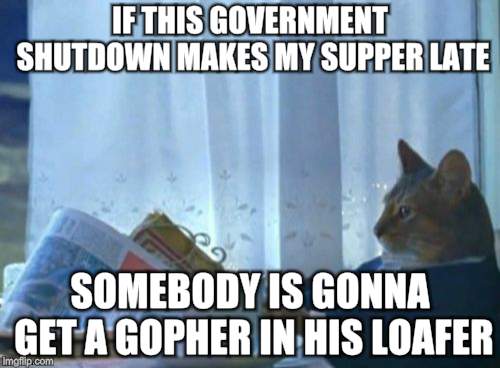 Cats don't play  | IF THIS GOVERNMENT SHUTDOWN MAKES MY SUPPER LATE; SOMEBODY IS GONNA GET A GOPHER IN HIS LOAFER | image tagged in memes,cats,selfish,payback | made w/ Imgflip meme maker