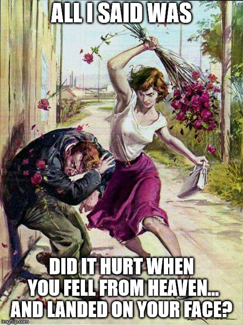 Beaten with Roses | ALL I SAID WAS; DID IT HURT WHEN YOU FELL FROM HEAVEN… AND LANDED ON YOUR FACE? | image tagged in beaten with roses | made w/ Imgflip meme maker